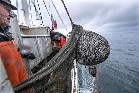 Suomalaiset kalastajat nostivat viime vuonna yli satatuhatta tonnia silakkaa.