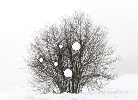 Antti Laitinen: Broken Landscape VI, 2019, valokuva.
