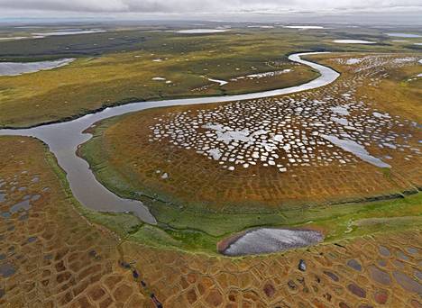 Sulavaa ikiroutaa Lenan suistolla Siperiassa. Arktisten alueiden ikiroutaan on varastoitunut arviolta 70 miljardia tonnia metaania.