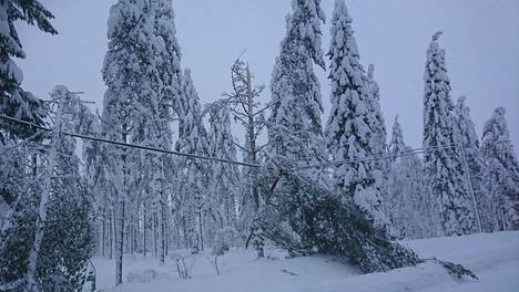 Itä-Suomen lumikaaos pitänyt taloja pimeänä päiväkausia, tilannetta kuvaillaan ”poikkeukselliseksi” – vanhuksia hätämajoitettu sähköttömistä kodeista