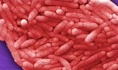 Tutkimuksessa salmonellan on havaittu olleen vastustuskykyinen useille eri antimikrobisille lääkkeille. Kuvassa 12 000-kertainen suurennos salmonellabakteerikasvustosta.