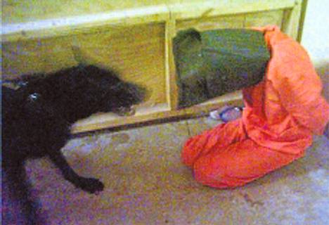 Koira hyökkää vangin kimppuun Irakin pahamaineisessa Abu Ghraibin vankilassa. Kuva on oletettavasti otettu vuonna 2004.