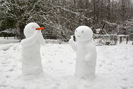 Lumiukko nuhtelee toista lumiukkoa, jolle on kasvanut pitkä porkkananenä valehtelun seurauksena. Lehikoisen kirjan kuvitusta. 