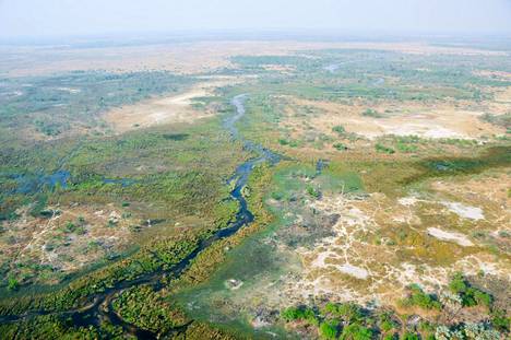 Okavango-joki ei laske mereen tai järveen, vaan sen vesi levittäytyy Kalaharin maaperään.