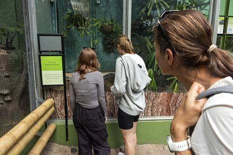 The most curious zoo visitors stopped to look inside Pedro's terrarium, even though the sign next to it says that it is empty for now.