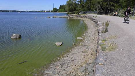 Sinilevien odotetaan runsastuvan Helsingin merialueilla – alkuviikosta pitäisi päästä polskimaan lämpimässä säässä