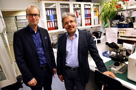 Diabetesta ehkäisevä rokote otti askeleen eteenpäin – kahden suomalaisprofessorin keksintö osoittautunut tehokkaaksi hiirikokeissa