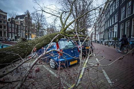 Myrskytuuli kaatoi puita muun muassa Hollannin pääkaupungissa Amsterdamissa. 