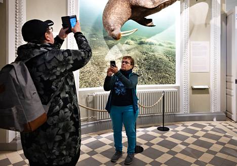 Urda Stenius came to the museum just to see the walrus.
