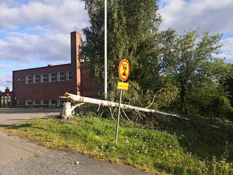 A storm felled a tree in front of Järvensivu school in Tampere.