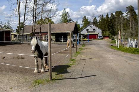 Naantalilaiseen hevostalliin liittyvät epäillyt rikokset paljastuivat viime vuoden toukokuussa.