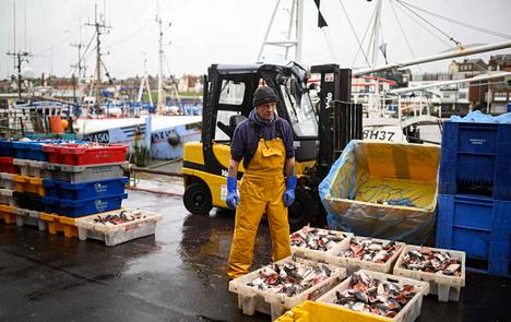 Kalastaja lajitteli hummerikalastuksessa syötteinä käytettäviä lohenpäitä Bridlingtonin satamassa koillisessa Britanniassa perjantaina 11. joulukuuta.