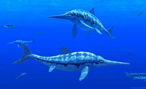 Taiteilijan näkemys veden alla uivista ichthyosauruksista.