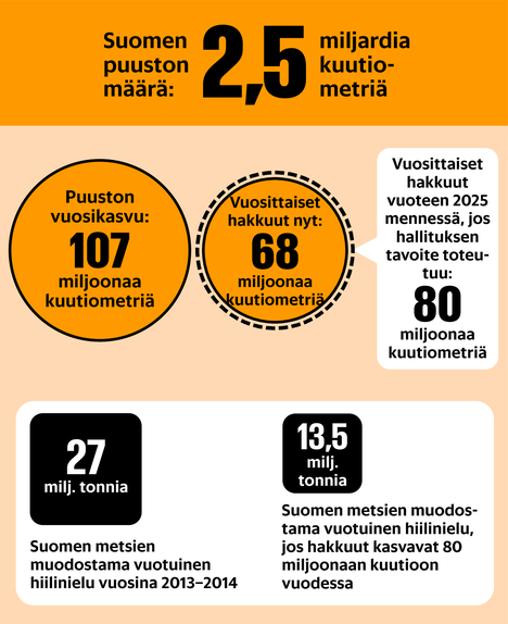 Suomi on tottunut hakkaamaan vaurautta metsistään, mutta nyt pitäisi painaa  jarrua – Miksi asiasta ollaan niin eri mieltä? - Talous 