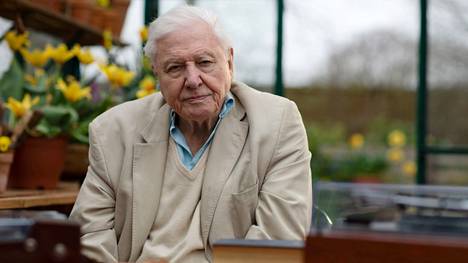 Sir David Attenborough’n ura BBC:llä alkoi jo 1950-luvulla. Hänen ensimmäinen merkittävä luontodokumenttisarjansa Life on Earth sai ensi-iltansa 1979.