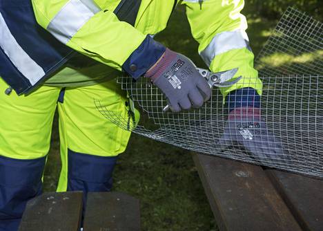 Nyt loppuu myyrien mässäily – Paketoi kukkasipulit metalliverkon sisään,  kun istutat ne kevättä varten - Päivän lehti  