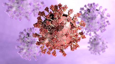 Koronavirus tarttuu ja sairastuttaa ihmisiä arvaamattomasti.