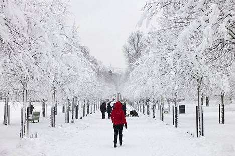 Helsinki sai viikonloppuna lumipeitteensä takaisin.