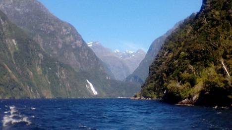 Televisioarvostelu | Luontodokumentti Uudesta-Seelannista kertoo kiinnostavaa tietoa maan satsauksista luonnonsuojeluun