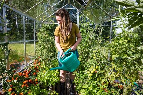 Puutarhuri Elina Sauvola kastelee tomaatteja, persiljaa ja samettikukkia kasvihuoneessa Annalan puutarhassa.