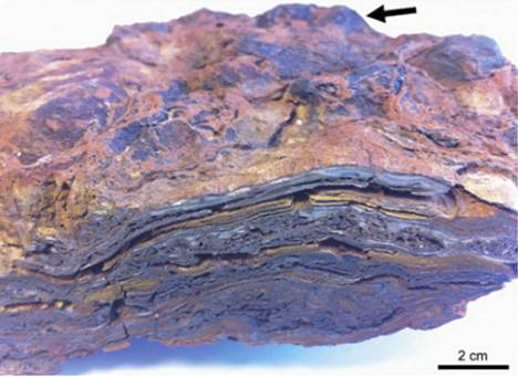 Stromatoliittirakenne saattaa kertoa elämästä miljardeja vuosia sitten.