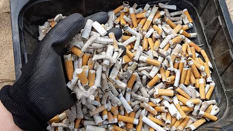 Yyterissä uimarannan roskien kerääminen maksaa 60 000 euroa kesässä – kolmessa tunnissa löytyi saavillinen tupakantumppeja