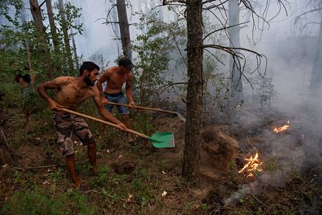 Paikalliset yrittivät hillitä metsäpaloa lähellä Kecskemétiä Unkarissa 14. heinäkuuta. Unkarilaiset maanviljelijät ovat raportoineet historiallisen rankan kuivuuden aiheuttaneen vahinkoja laajoilla alueilla. 