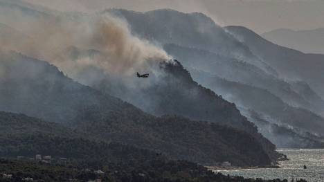 Kreikka | Kreikassa liekehtii kesän ensimmäinen metsäpalo, ympäristövahingot ovat mittavat