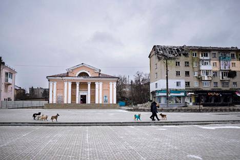 Бродячие собаки преследуют Владимира и Александра в центре Изюма. Фото: Саара Мансиккамяки / HS