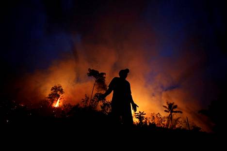 Amazonin sademetsän tulipaloja yritettiin pysäyttää Brasiliassa elokuussa 2020. Maailman suurimman sademetsän moninaiset tuhot motivoivat ecocide-lain puolesta kampanjoivia ihmisiä.