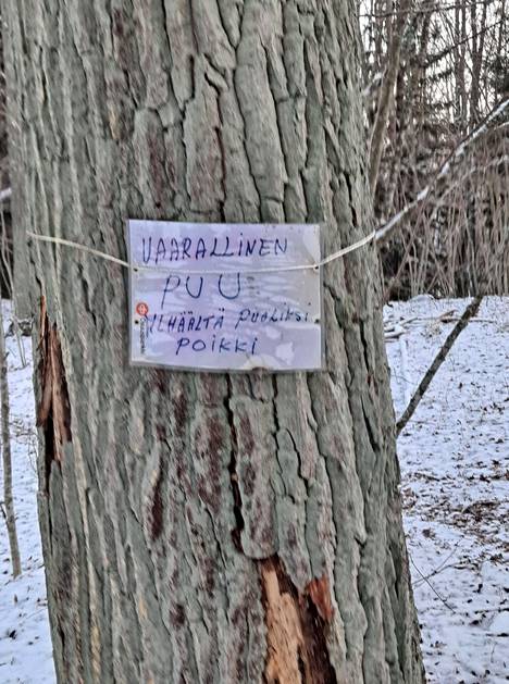 Jorma Lehto huomasi joulukuussa tutuilla ulkoilupoluilla Tammimäen suojelualueella puun kylkeen kiinnitetyn varoituksen.