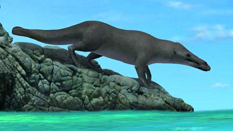 Tutkijat löysivät nelijalkaisen valaan fossiilin