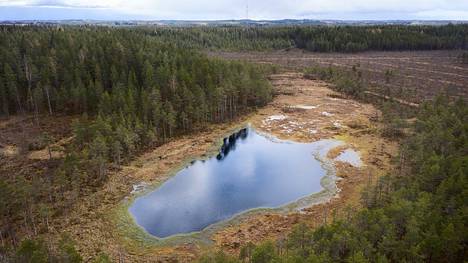 Uudessa luonnonsuojelulaissa kokonaiset luontotyypit, esimerkiksi suoalueet, ovat saamassa aiempaa vahvemman suojan. Suomen suoluontotyypeistä yli puolet on uhanalaisia. 