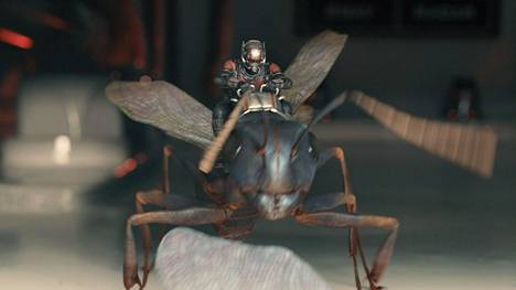 Paul Rudd on pikkuruinen supersankari Ant-Man, joka komentaa muurahaisarmeijoita.