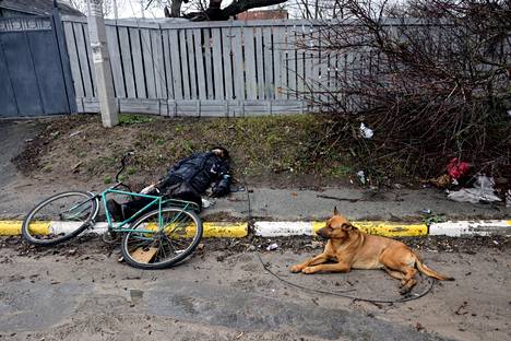 Kuvatoimisto Reutersin 3. huhtikuuta levittämässä kuvassa näkyy adoptoitu Bels-koira kuolleen kaupunkilaisen vieressä.