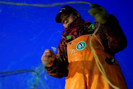 Japanissa 65 –74-vuotiaat työskentelevät maailman mittakaavassa todella paljon. Kalastaja Haruo Ono, 71, selvittelee satamassa verkkojaan palattuaan mereltä kalastamasta Shinchissä Fukushiman prefektuurissa Japanissa.