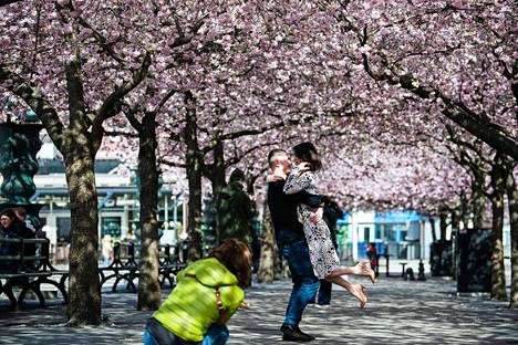 Ruotsin viranomaiset arvioivat, että hyvä kansanterveys suojaa ruotsalaisia koronavirusepidemiassa. Ihmisiä liikkuu Tukholmassa ravintoloissa ja julkisilla paikoilla enemmän kuin Helsingissä. Pariskuntaa kuvattiin keskiviikkona Tukholman Kungsträdgårdenissa kirsikkapuiden alla.