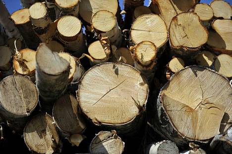 Metsäteollisuuden mukaan kaikenlaiselle puulle on nyt vahvaa kysyntää.
