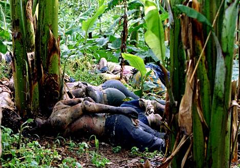Ruandan kansanmurhan uhreja lojui kasvien lomassa toukokuussa 1994.