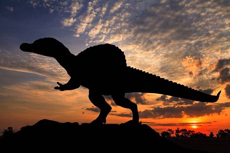 The reign of dinosaurs lasted for millions of years, very much longer than modern man has been on Earth.