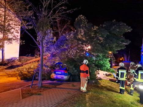 The fire brigade cleared the trees that fell in the storm in Brandenburg, Germany, on Sunday morning. 