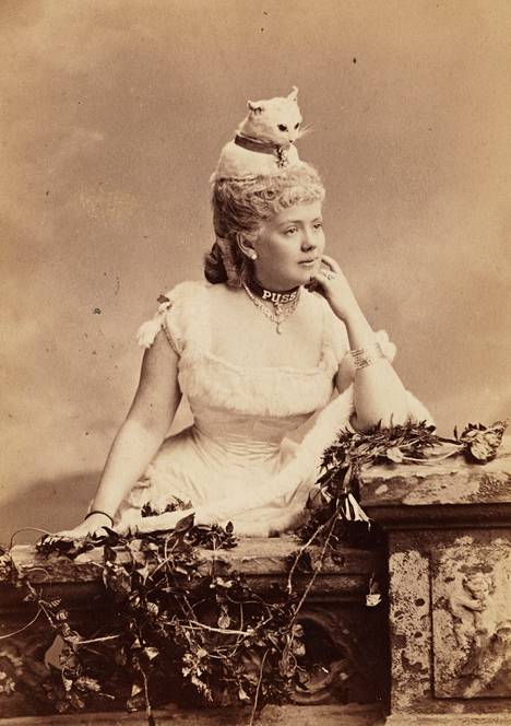 Vuonna 1883 New Yorkin kohutuin seurapiiritapahtuma oli Alva Vanderbiltin järjestämä 1200 vieraan ylellinen pukujuhla. Kutsuttuihin kuuluneen Kate Feering Strongin asun kruunasi päähine, jossa oli oikea täytetty kissa.