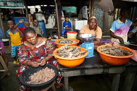 The sellers at the Makoko fish market say that the lack of freezers is the only thing preventing the expansion of the business.
