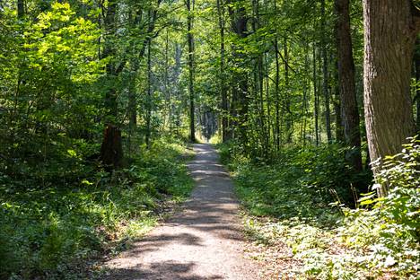 Träskändan puistometsässä kulkee polku, jonka varrella voi tutustua kartanopuiston historiaan ja luontoon.