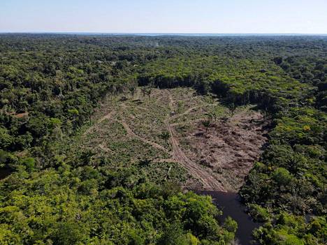 Amazonin sademetsä on yksi maailman rikkaimmista ekosysteemeistä. YK:n luontosopimuksen neuvottelijoissa Brasilian tuore vallanvaihto on herättänyt toiveita siitä, että Brasilia olisi jälleen halukkaampi yhteistyöhön.