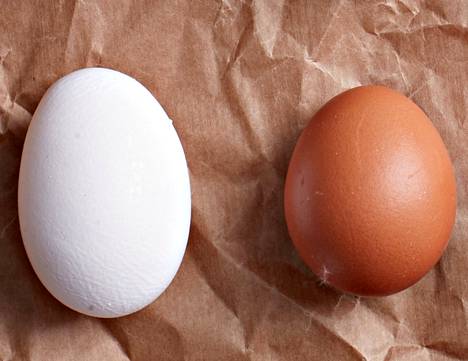Miksi XL-kananmunia on ja miten ne syntyvät? - Ruoka 