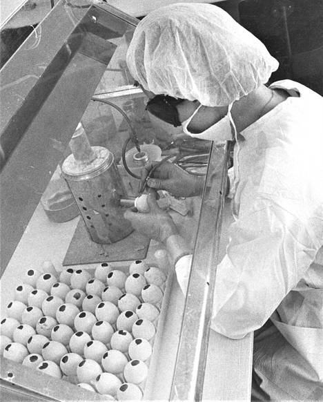 Lääketehtaan laboratoriossa kaksi päivää munissa haudotut influenssavirukset kerätään rokotetta varten.