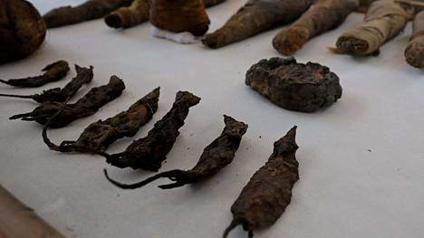 Yli 2 000 vuotta vanhasta haudasta löytyi muumiohiiriä Egyptissä