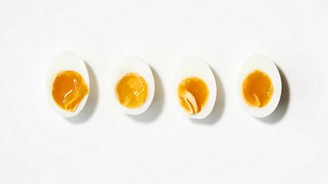 Luomua, omegaa ja free rangea – miten kananmunat eroavat toisistaan, vai  eroavatko ne? - Ruoka 
