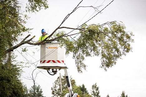 The tree had fallen on the power line on Kiviveistamöntie in Pori on Tuesday.